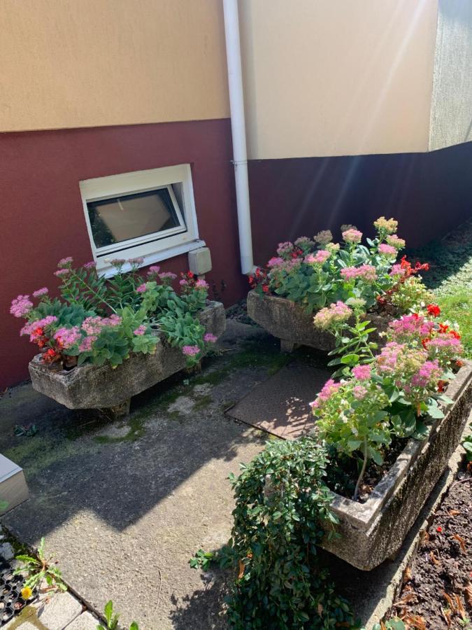 Konig Apartman Heviz Bagian luar foto